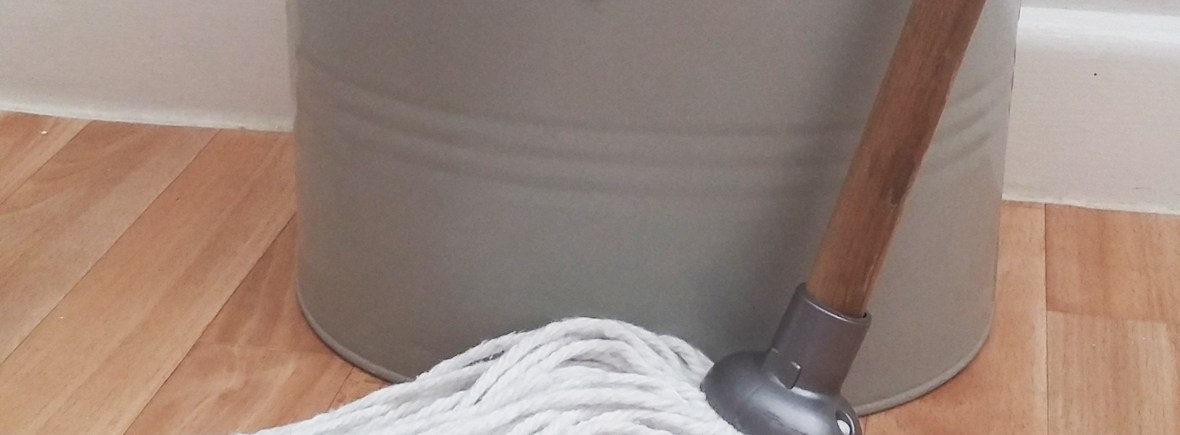 Starfish Domestic Services