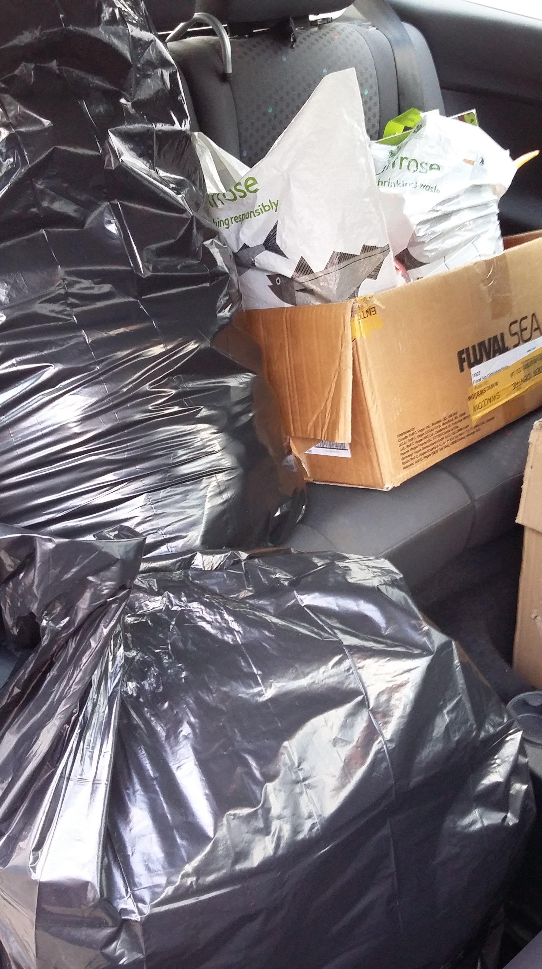 2016-04-23 19.14.48.jpg