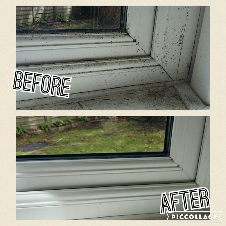 Collage 2016-08-10 17_29_31